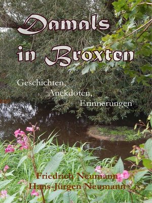 cover image of Damals in Broxten